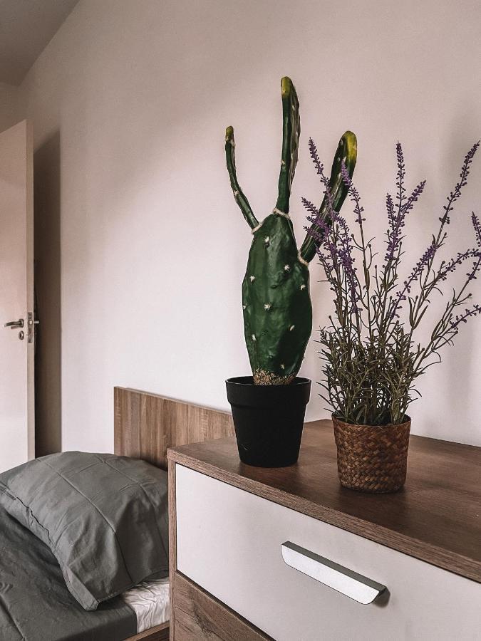 Cozy 3 bedrooms flat in Paceville San Ġiljan Buitenkant foto